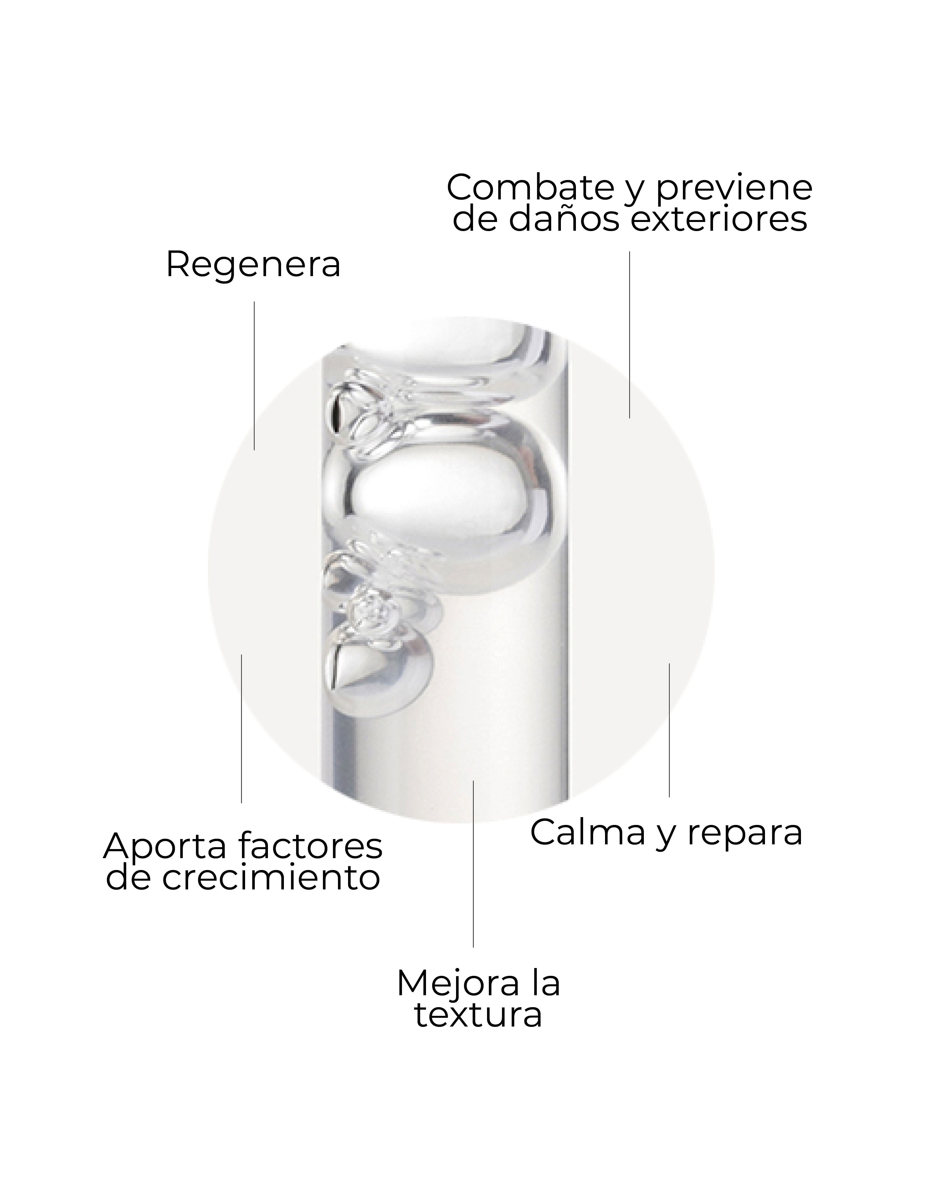 Sérum Skin Factor